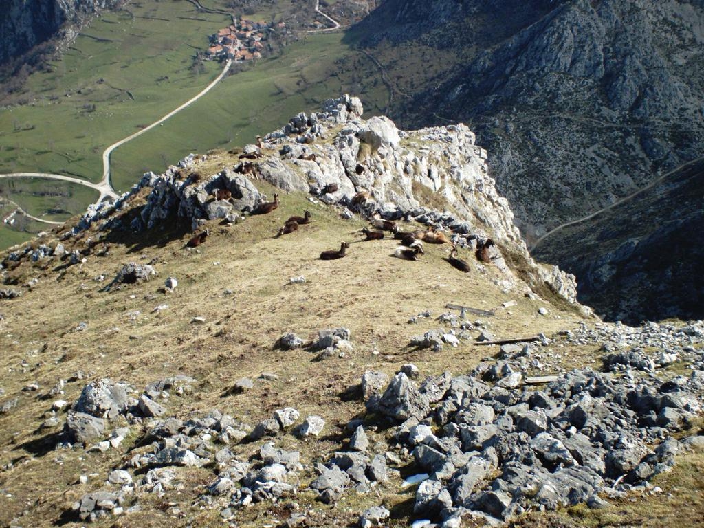 Viviendas De Uso Turistico La Arboleda I Y II Коломбрес Экстерьер фото